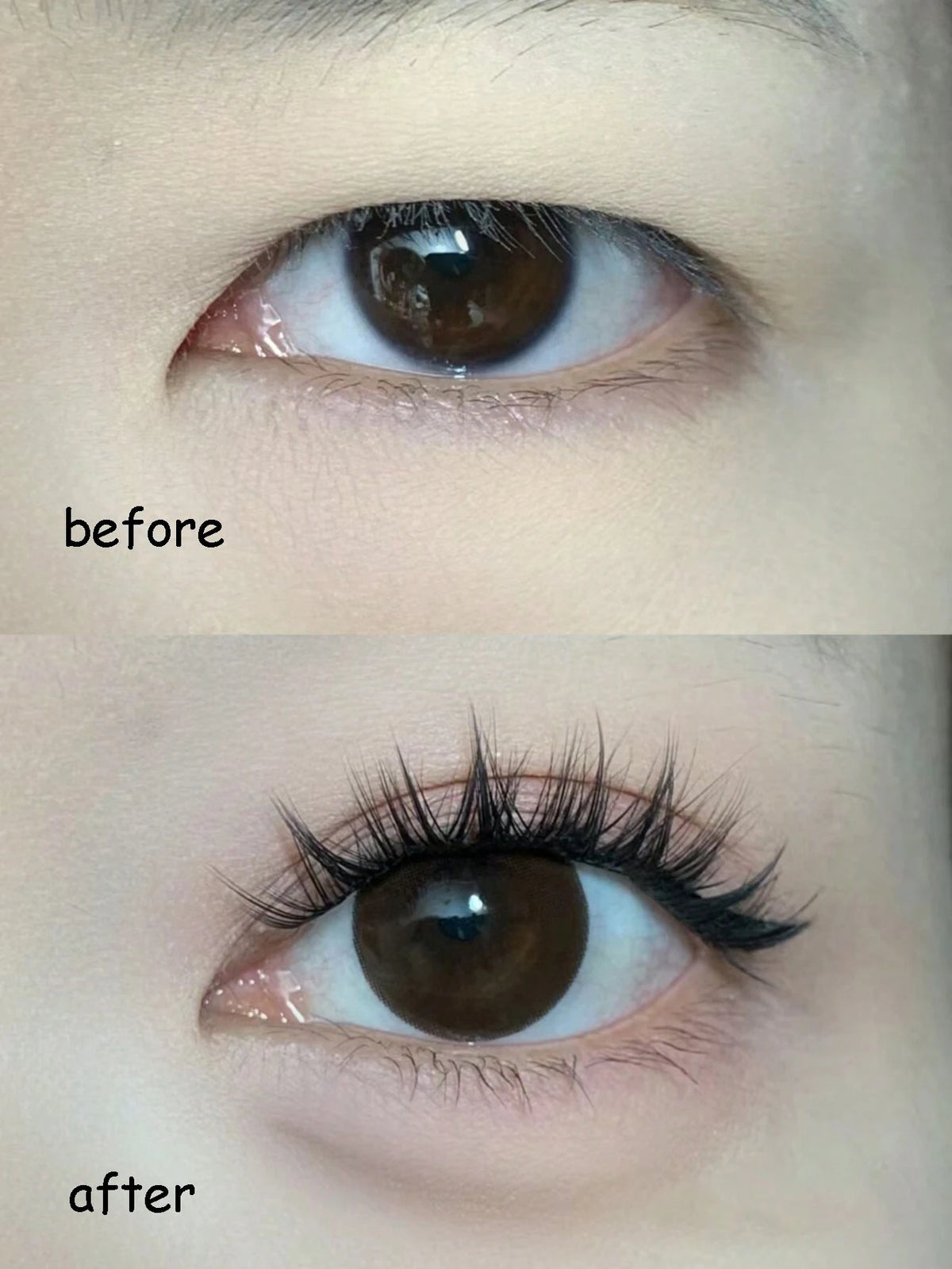 Women's Natural Soft Segmented False Eyelash Clusters Set