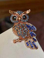 Shein Vintage Owl Brooch With Blue Rhinestones Crystal Bird Brooch >