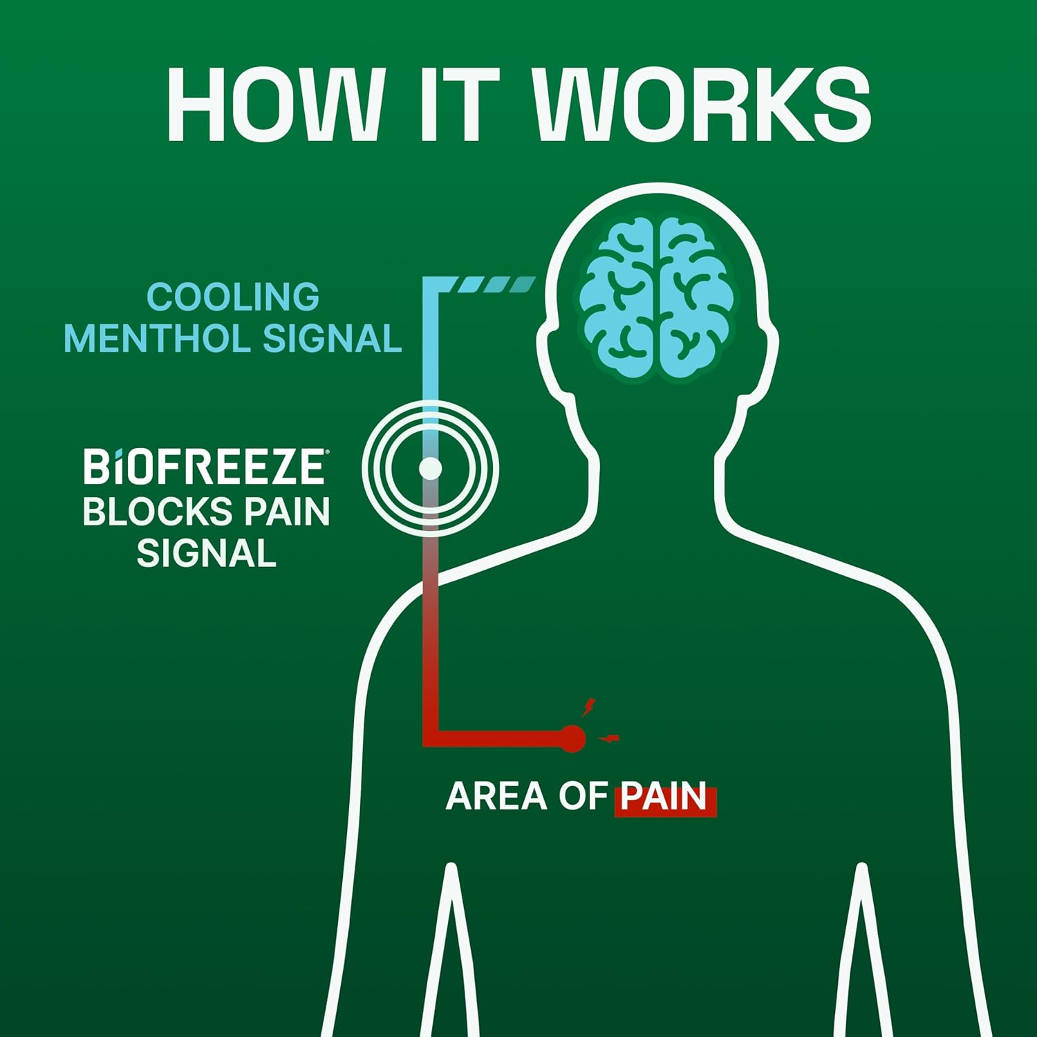 Biofreeze XL Menthol Pain Relieving Patches, 4 Patches 2 Sizes Up To 8 Hours