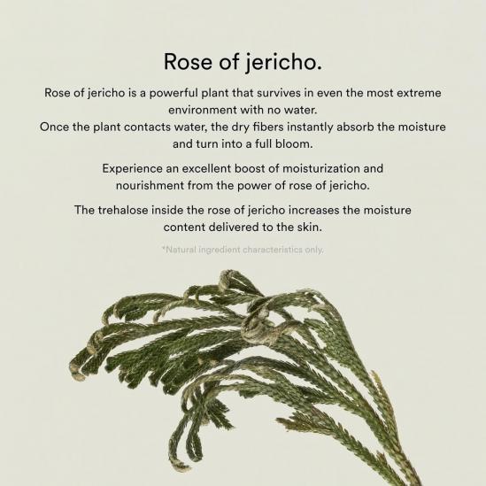 Abib Collagen Gel Mask Jericho Rose Jelly -.