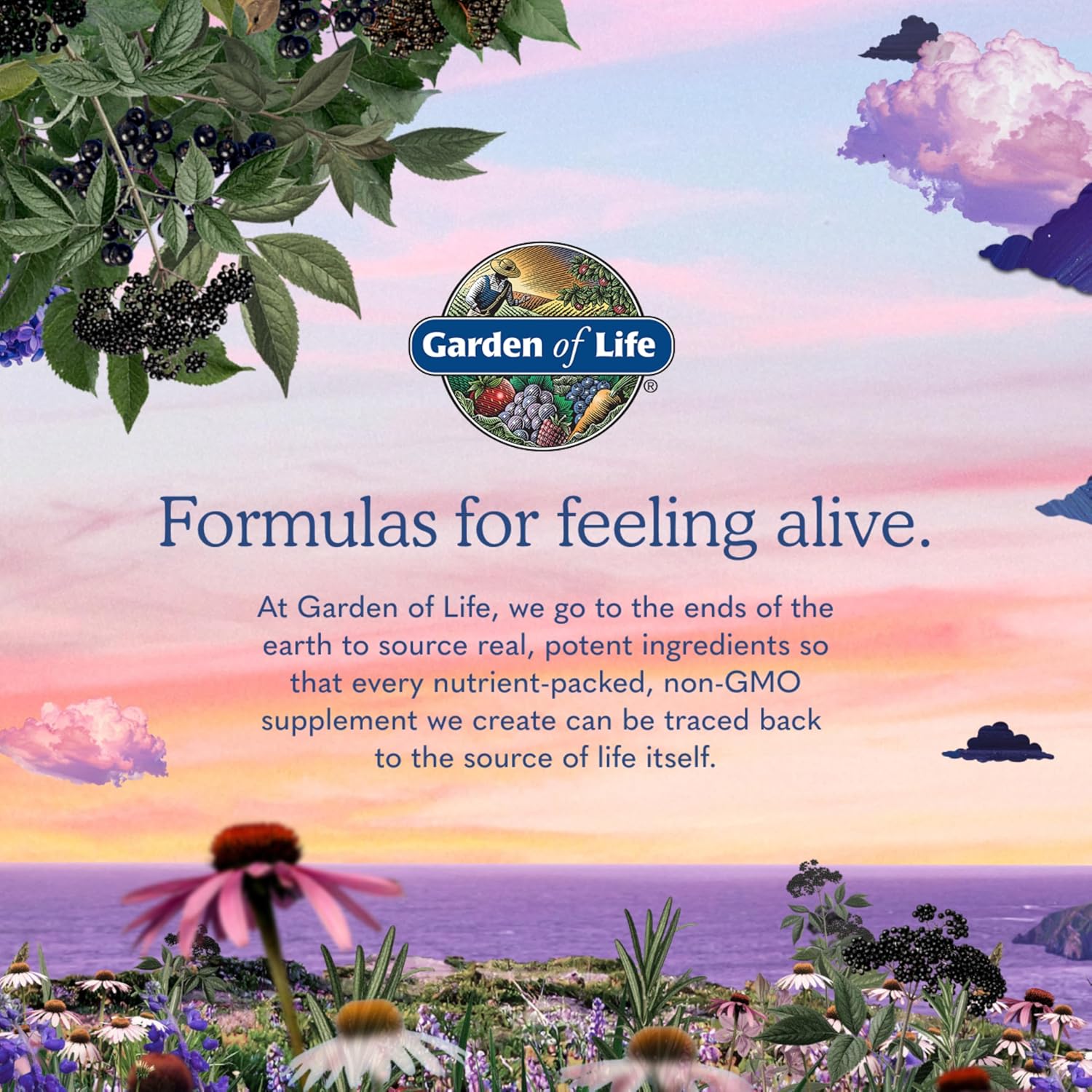 Garden of Life, Dr. Formulated Women's Probiotics Once Daily, 16 Strains, 50 Billion, 30 Capsules