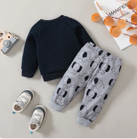 Pat Pat 2pcs Baby Boy Elephant Graphic Long-sleeve Textured Top & Allover Print Pants Set, 3-6M +
