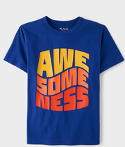 Ch. Place Boys Awesomeness Graphic Tee - blue, 14T -.