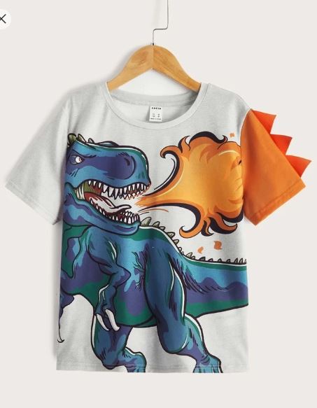 Shein Tween Boy Triangle Trim Fire And Dinosaur Print Top, 8T +