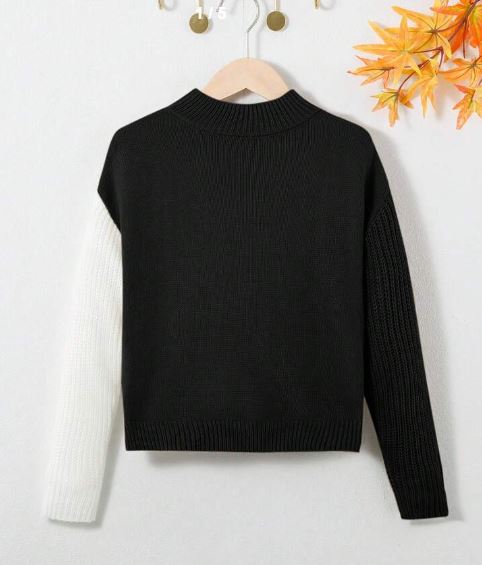 Shein Kids Tween Girls' Casual Color Block Stand Collar Pullover Sweater, 10T +