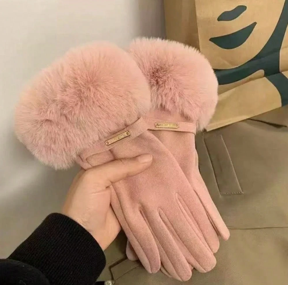 Shein 1 Pair Of German Fleece Gloves +