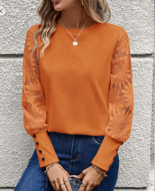 Shein Women's Round Neck Sheer Long Sleeve Top, XL +