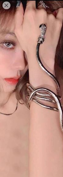 Shein Versatile Personality Snake Shaped Coiling Necklace, Unisex +