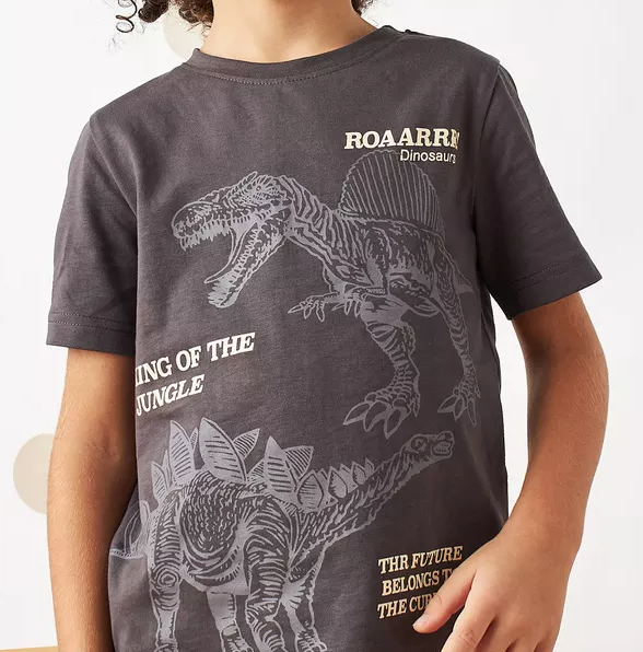 Max Dinosaur Print T-shirt, 6-7T +