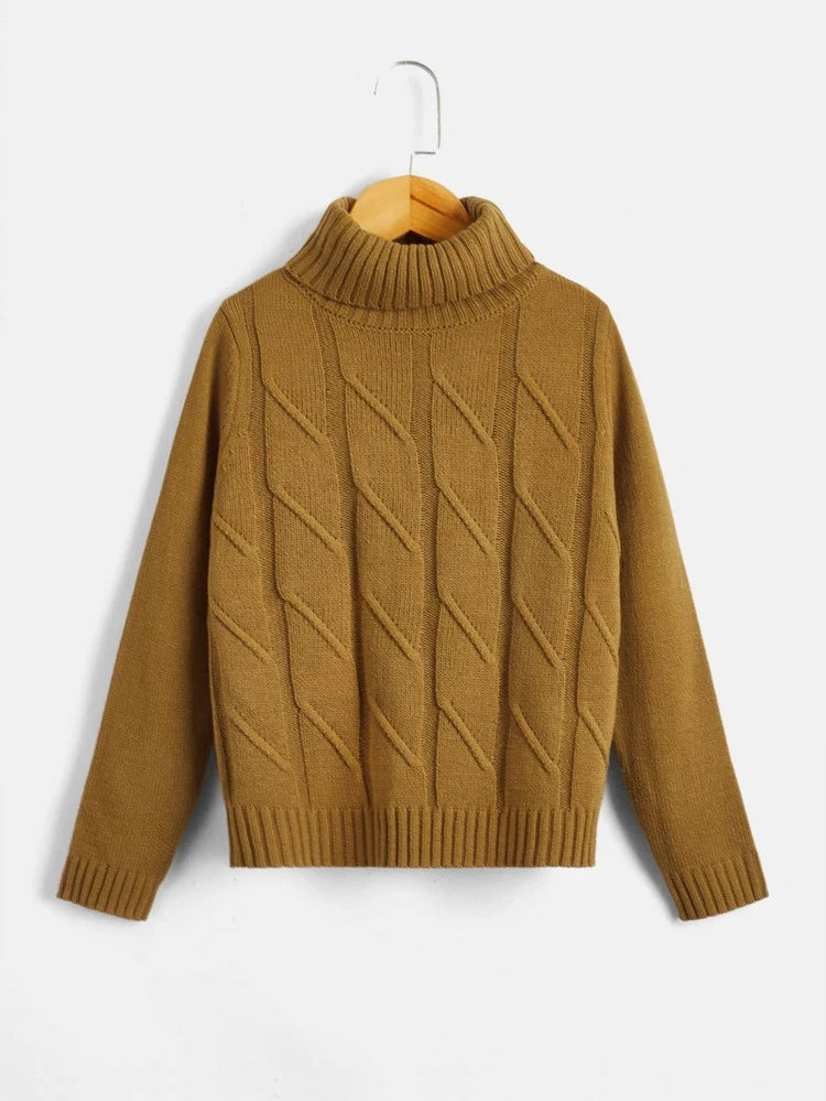 Shein Boys Turtleneck Cable Knit Sweater, 11-12T +
