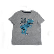 JEM Dinosaur T-shirt For Kids, 4T - Hatolna Shop